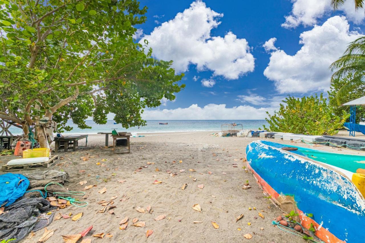 Appartement Charmant Au Carbet Avec Vue Sur La Mer 50 M² Le Carbet Esterno foto